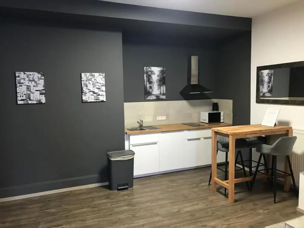 Maxim Apartments Mainz