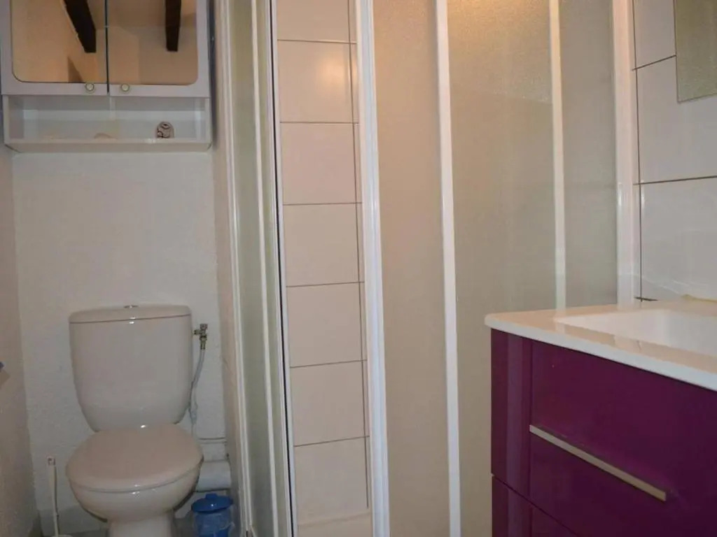 Appartement Saint-Cyprien, 2 pièces, 4 personnes - FR-1-225D-169