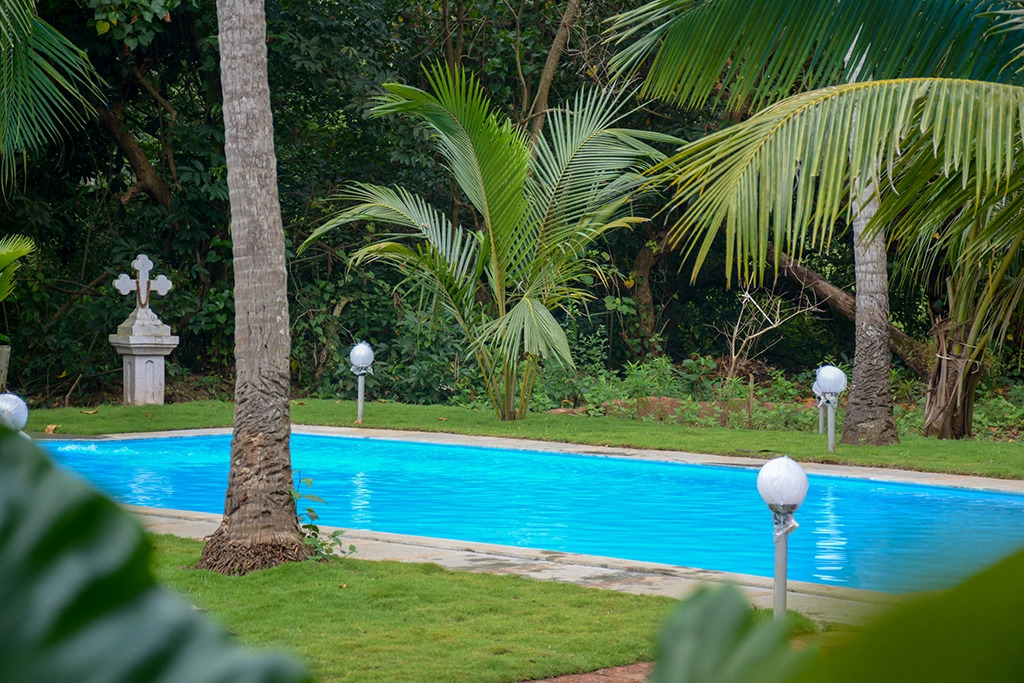 OYO 15547 Morjim Plaza