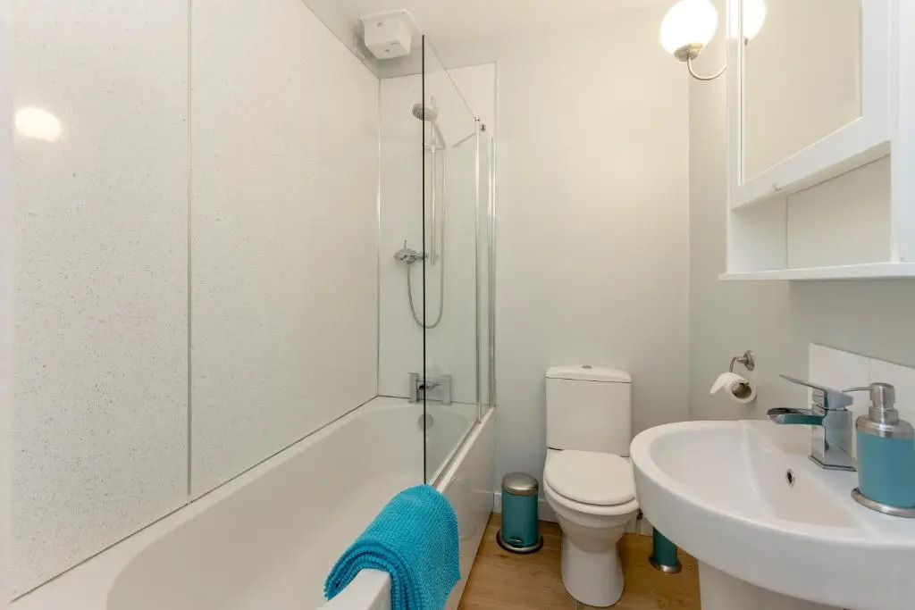 414 Spacious 1 bedroom ground floor apartment near Leith with sofa bed in living room