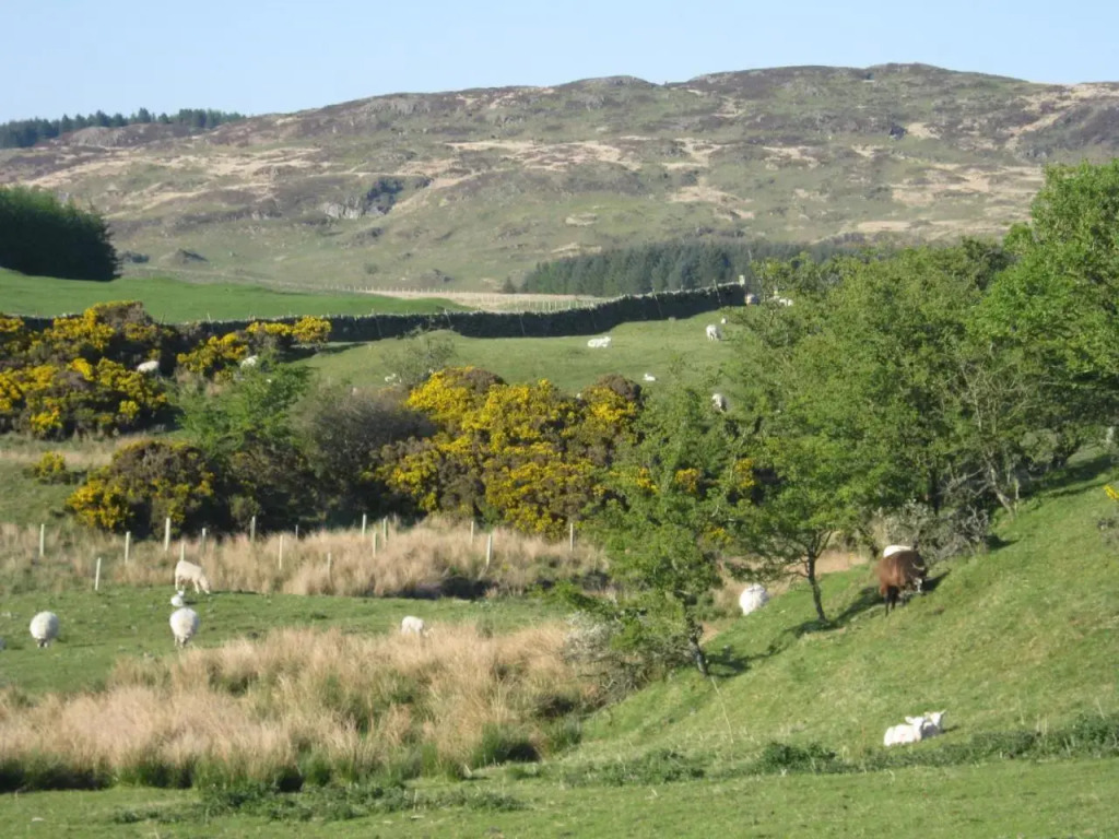 Barcloy Milk House