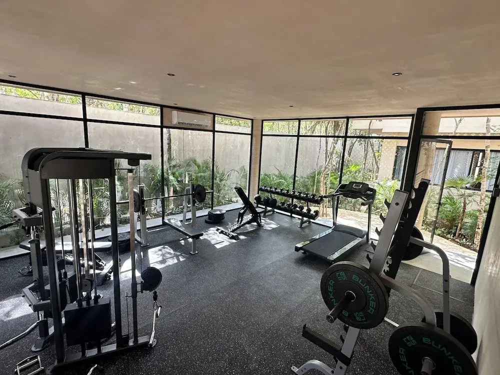 Jungle Escape Studio Quiet & Cozy C5