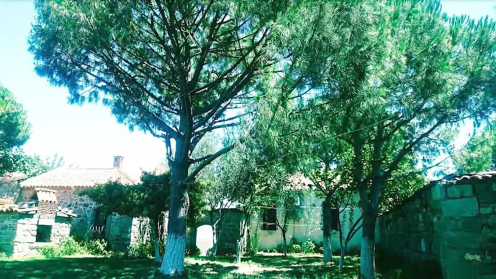 Athena Pension