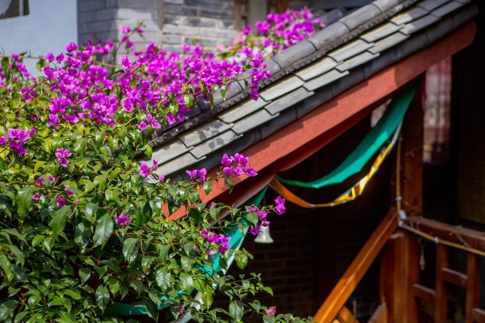Lijiang Manzhu City Love Inn