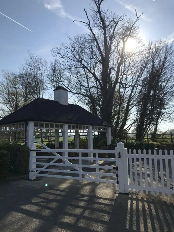 The White Swan