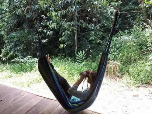 Sumatra Rainforest Eco Retreat
