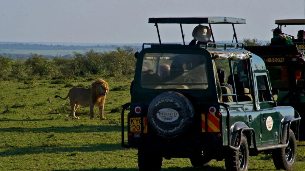 Mara Explorer