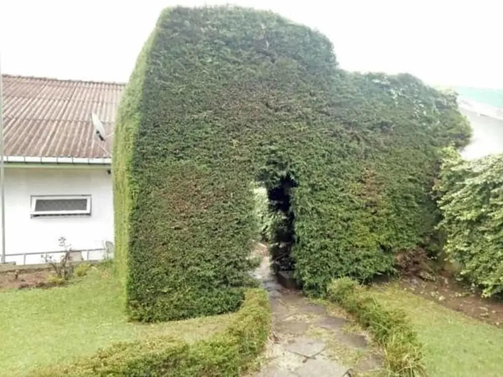 Royal Garden Hotel