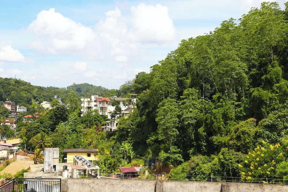 The Dorwin Heights