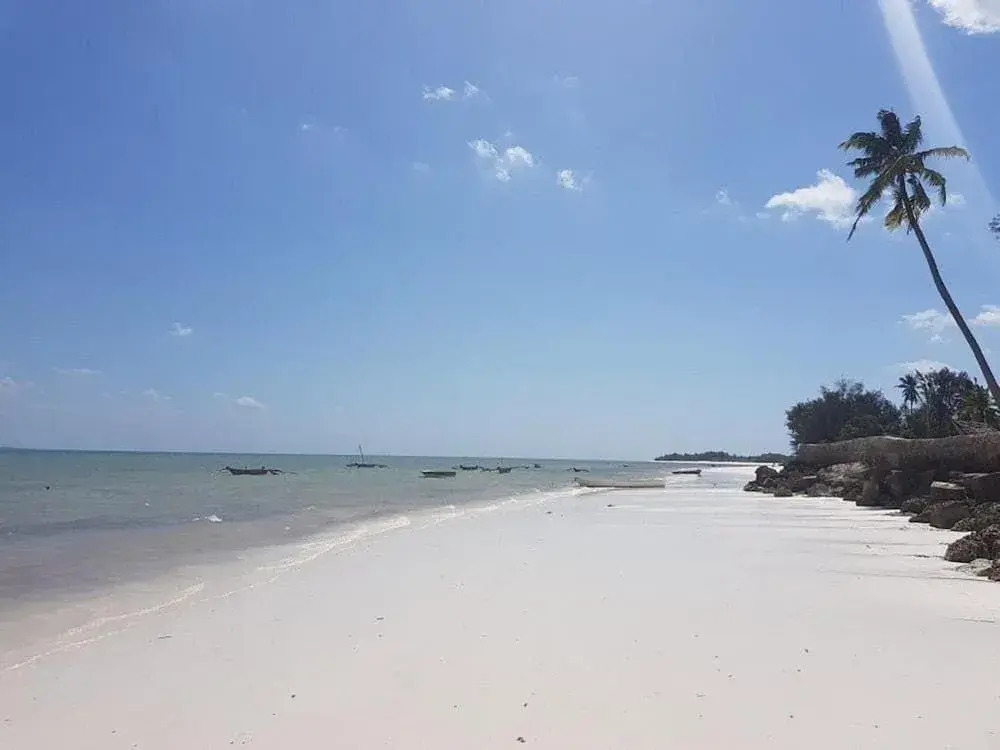 Horizon Michamvi Beach