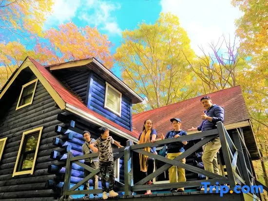 Private Cabin-Perfect for families, large groups