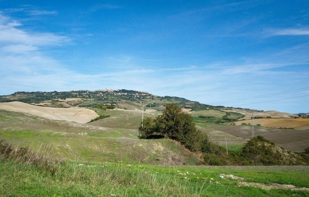 Il Nido