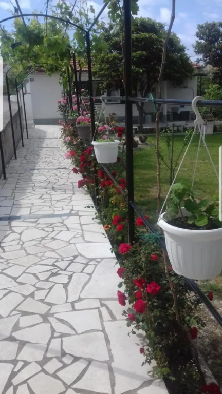 Smokvica