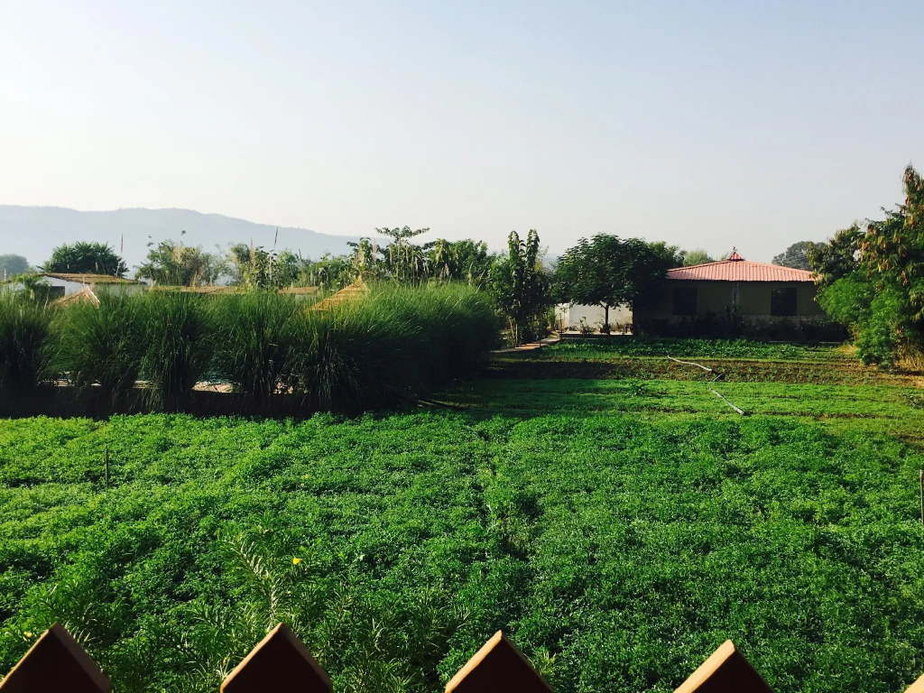 Maa Ashapura Resort