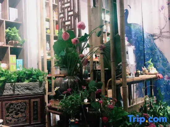 Huangshan Qixinju Villa Homestay