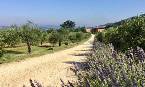 Villa Le Bolli