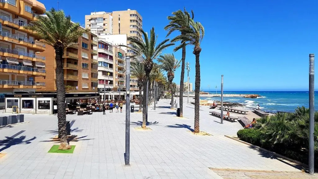 Solmar 33