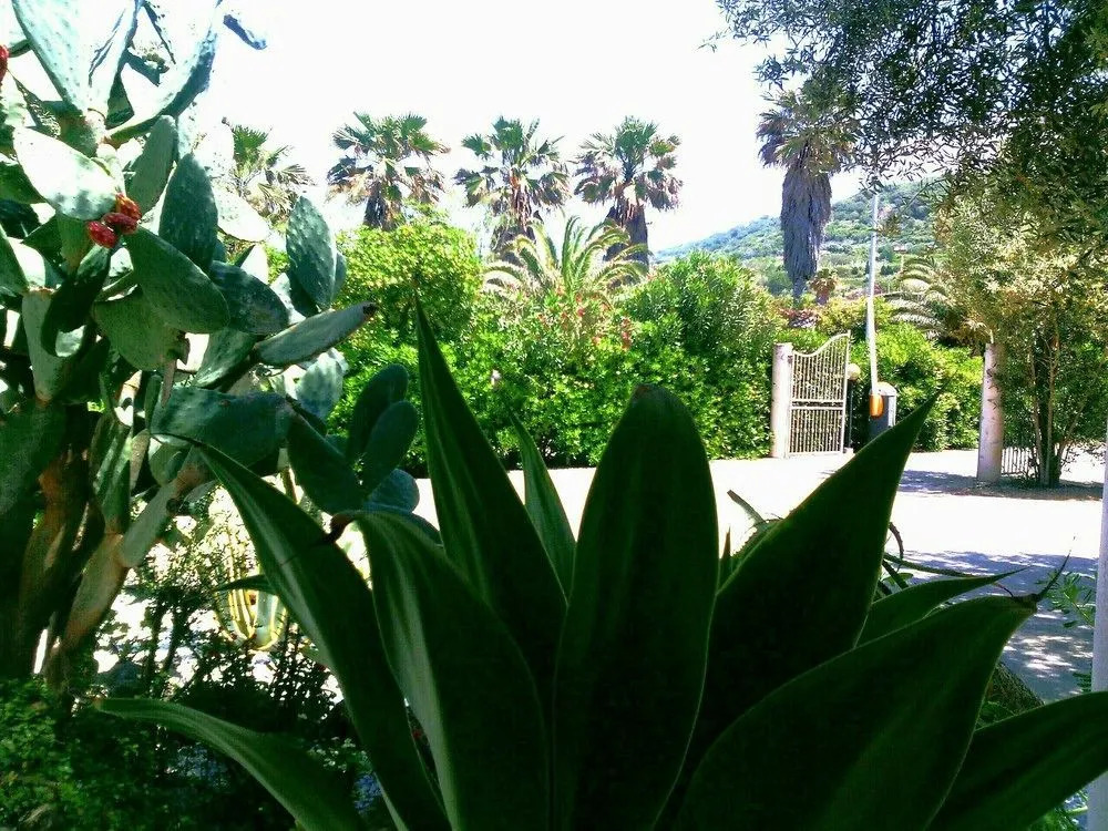Hotel Il Lungomare