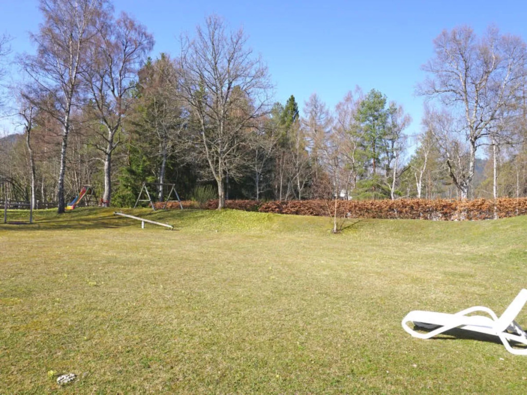 Birkenwald 14732
