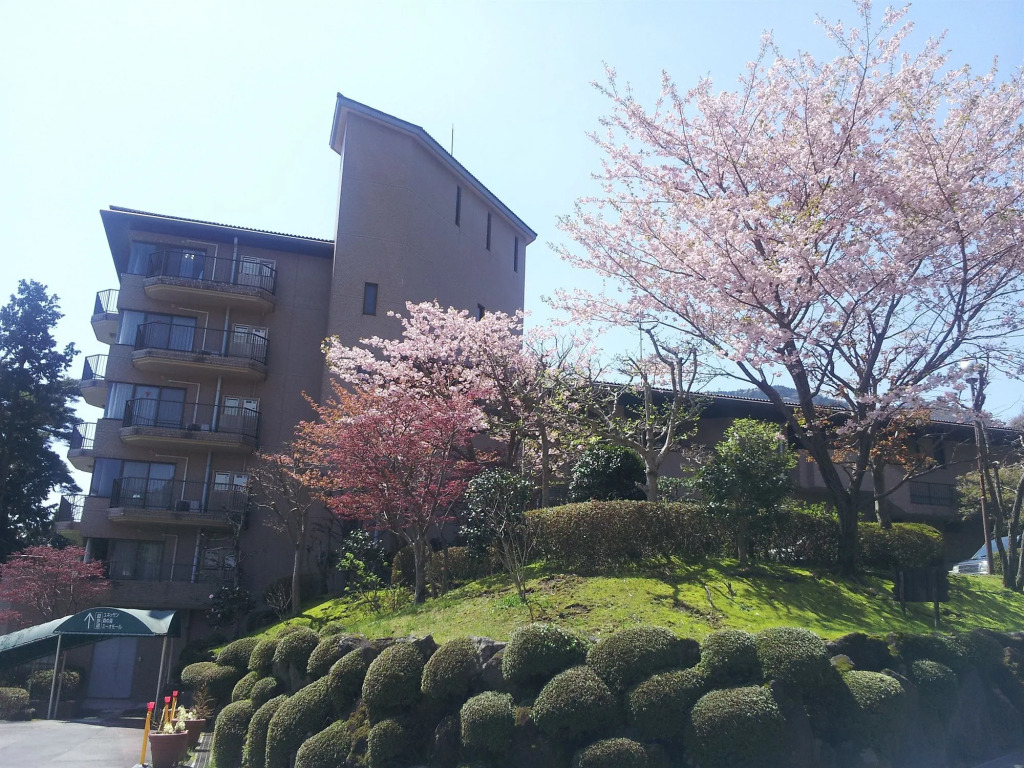 Hakone Forest of Verde