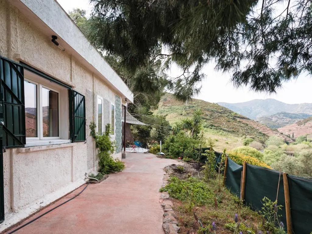 Appartement Banyuls-sur-Mer, 2 pièces, 4 personnes - FR-1-309-262