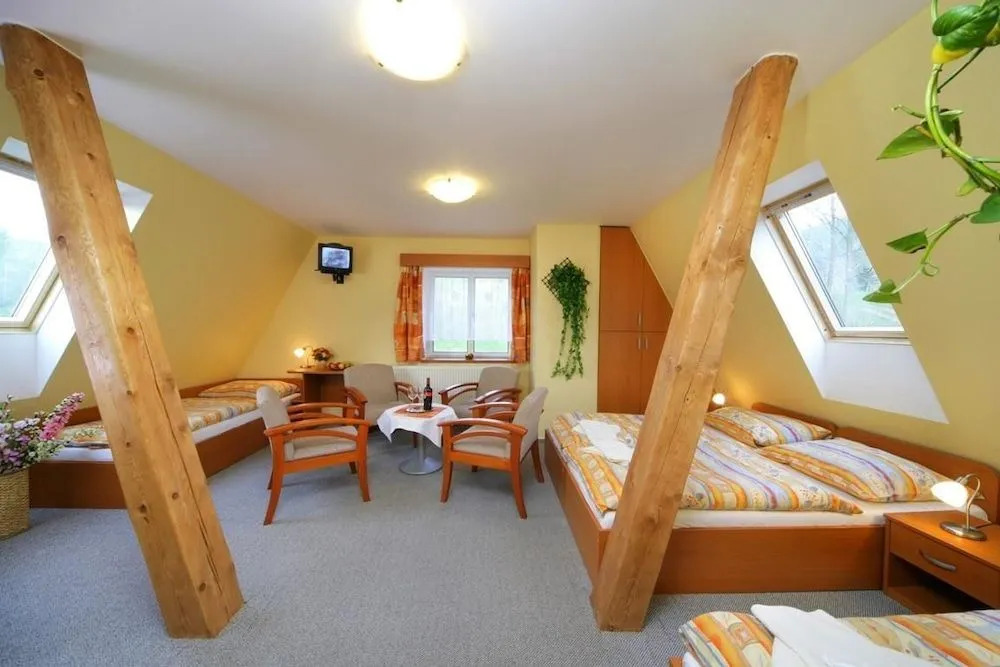 Hotel Stary Mlyn