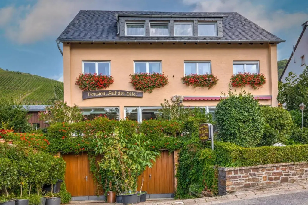 Pension Auf der Olk mit Röpertsmühle