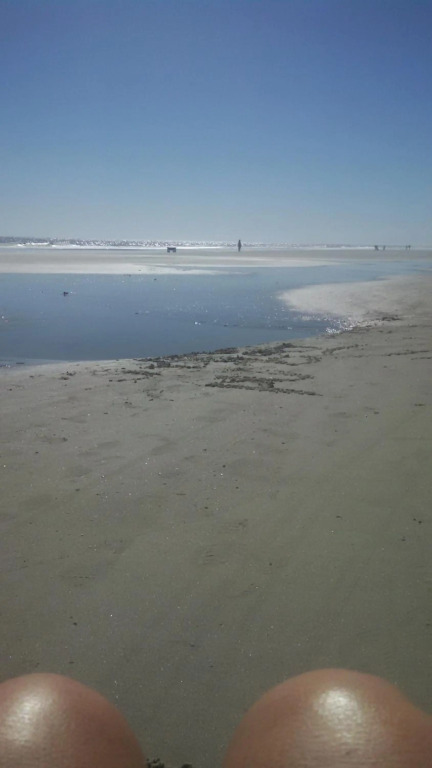 Nothing But Ocean in Forest Beach
