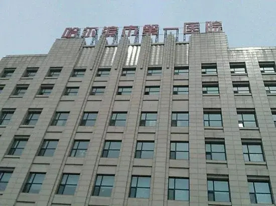 Motel (Harbin Central Avenue Sofia Church Toulong Commercial Building Store)