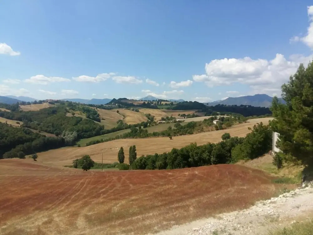 La Cerqua