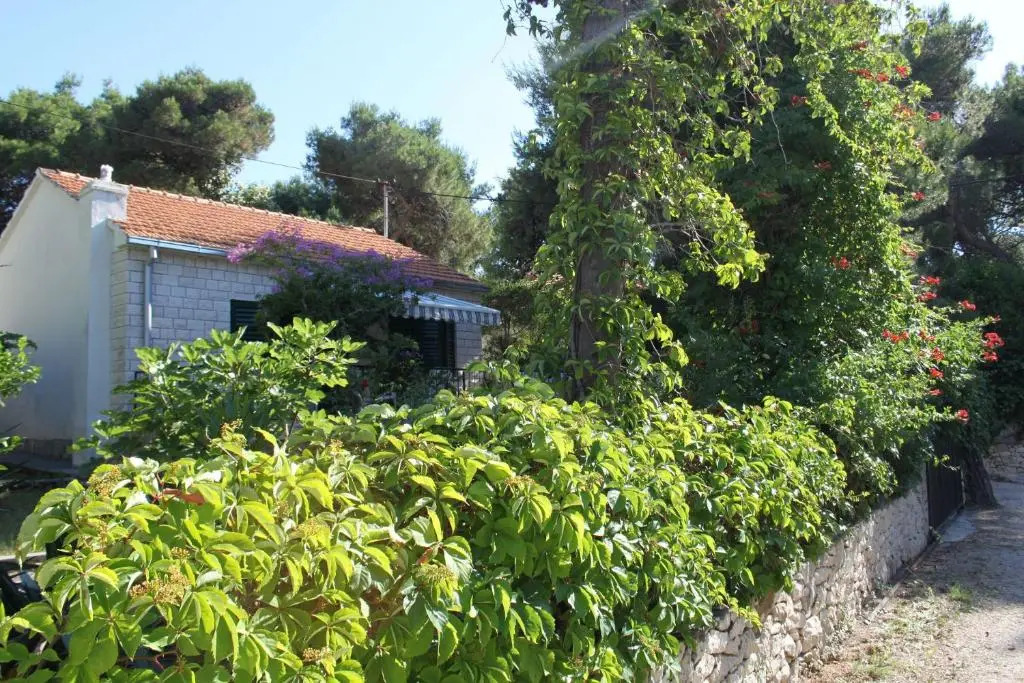 Holiday Home Dragan - 50m from sea