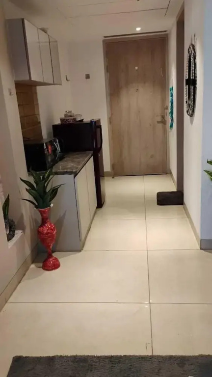 The luxury apartments