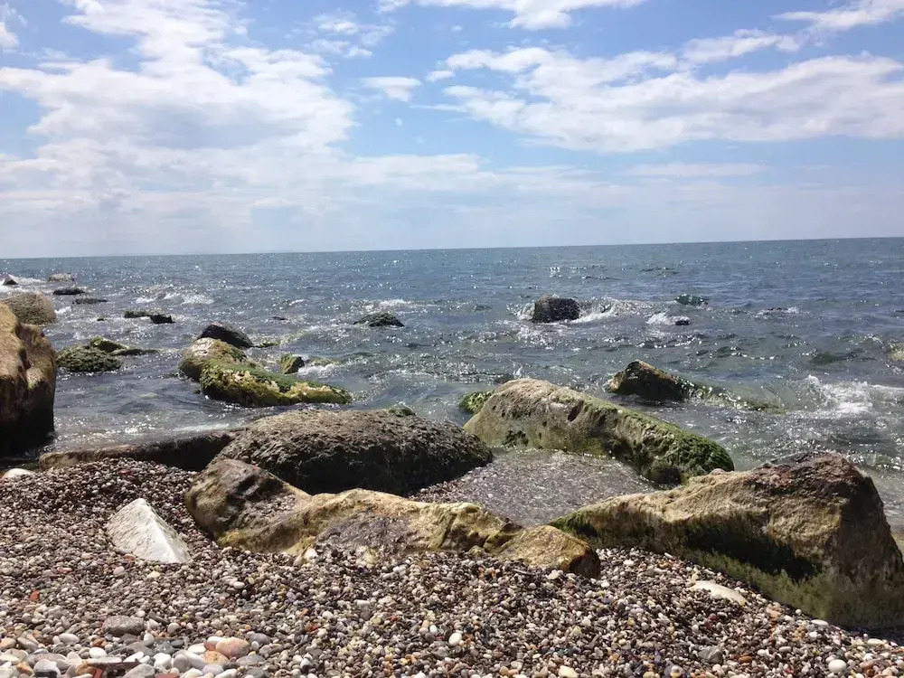Amazing holiday home near pet-friendly beach