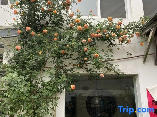 Huangshan Emerald Valley Tingquan Xiaoyuan Homestay