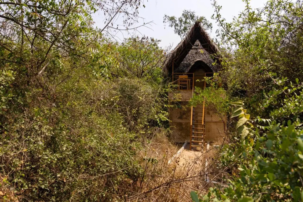 The Wilderness Retreat