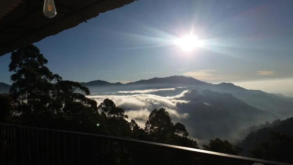 Golden View Guest Ella