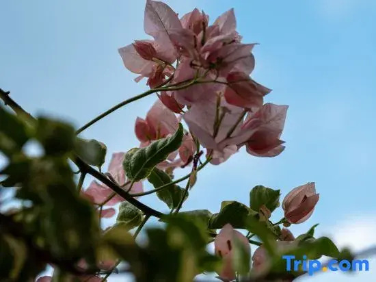 Quanzhou Tongyu Family Homestay (West Street Kaiyuan Temple)