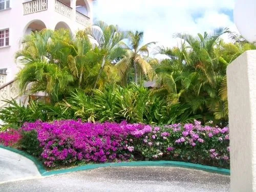 Royal Palms Hotel