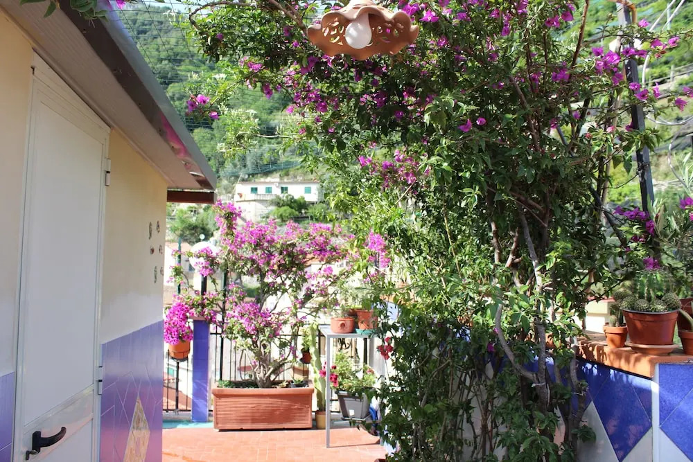 B&B Reginella