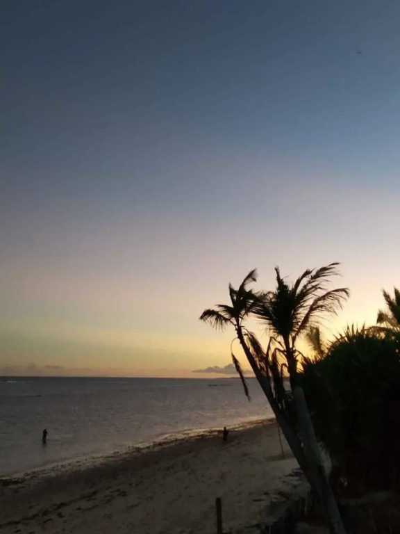 Eco Beach Hostel
