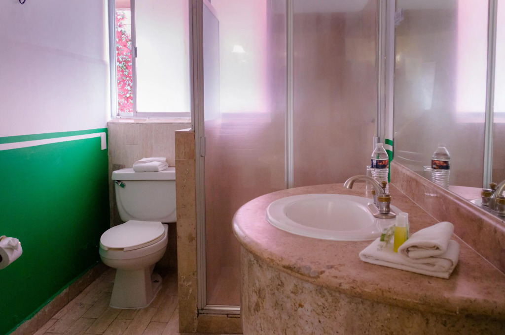 Hotel Residencia Polanco