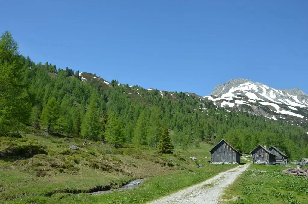 Urlaub am Kräutlhof in Mariapfarr
