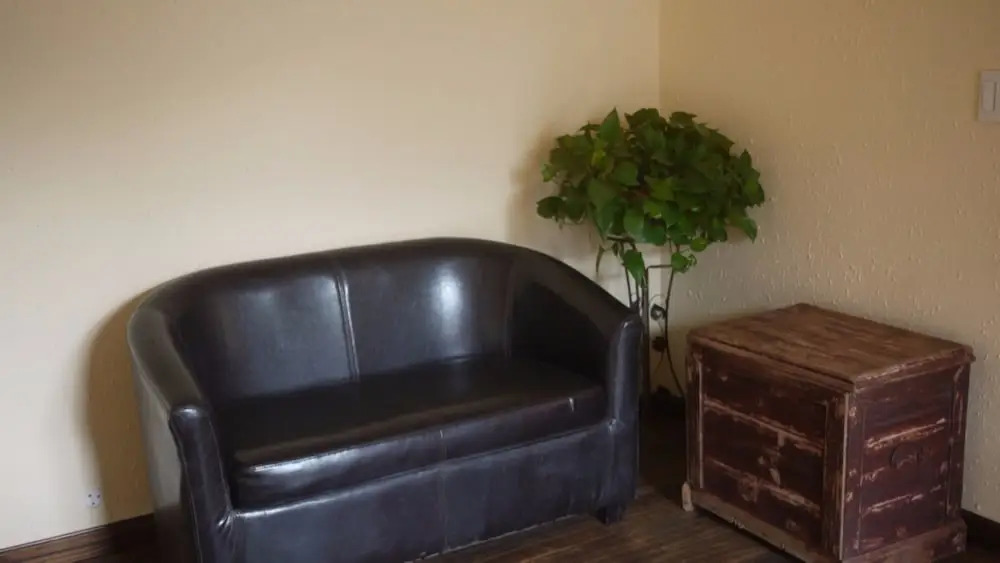 Moganshan Bamboo View Guesthouse