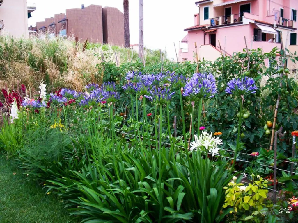 Guest House Arancia145