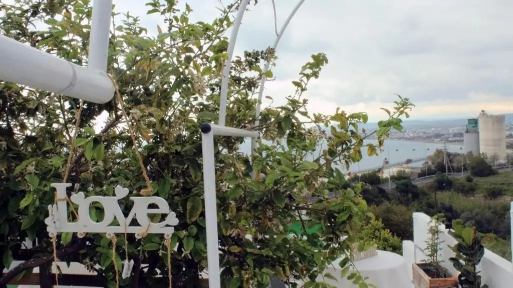 Queens Luxury Glamping