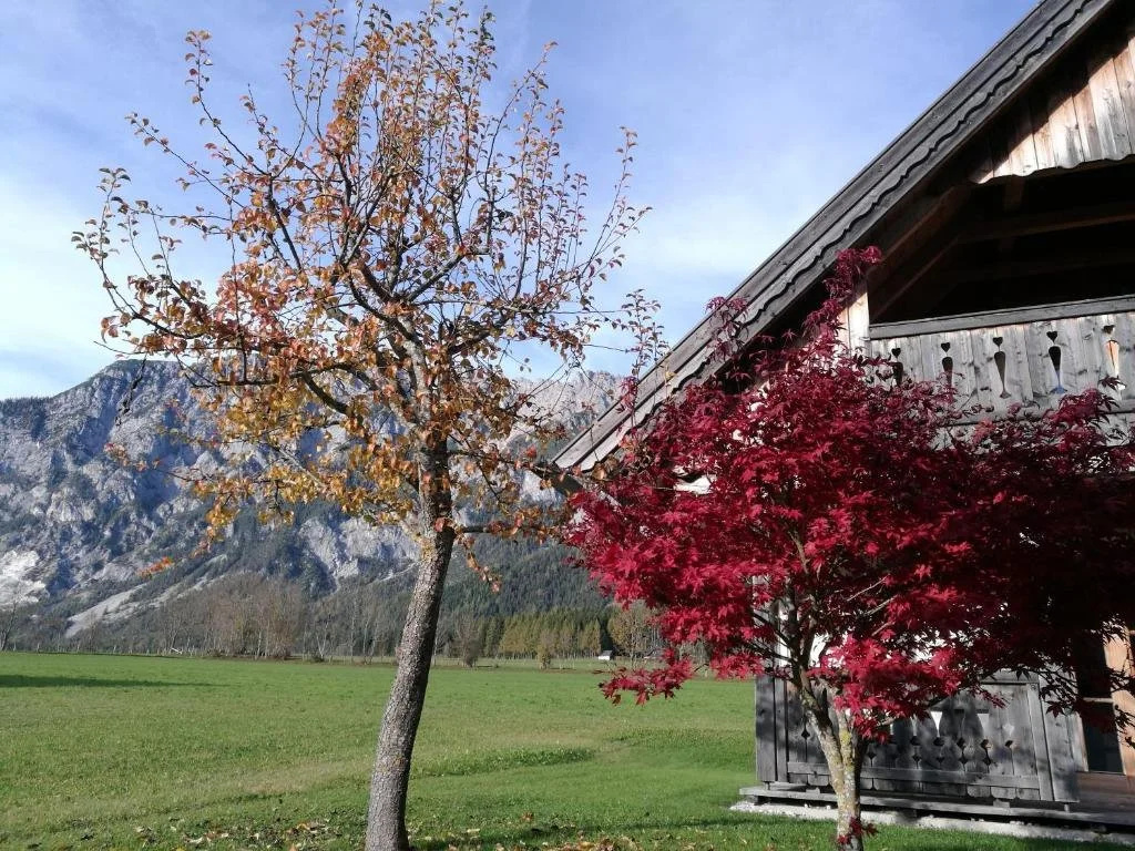 Feriendorf Stodertraum - Ferienhaus in Gröbming