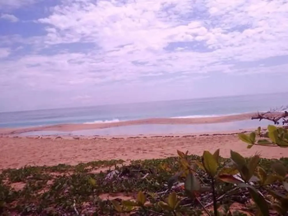 Paradise Waits