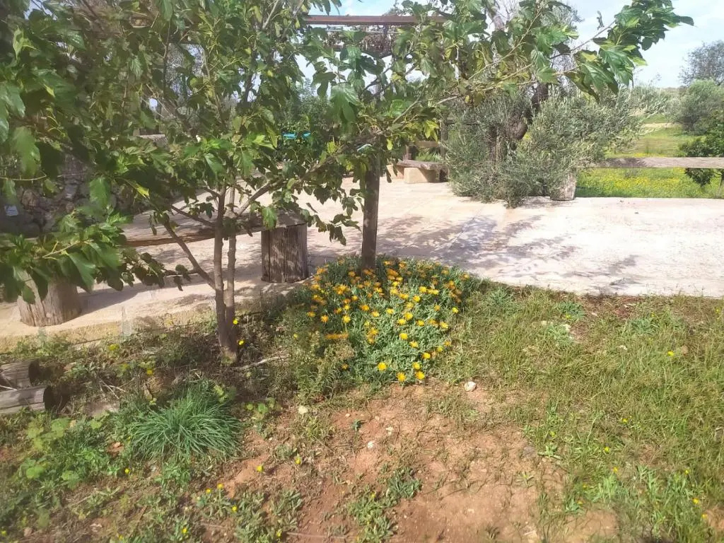 Trullo Contrada Stracca