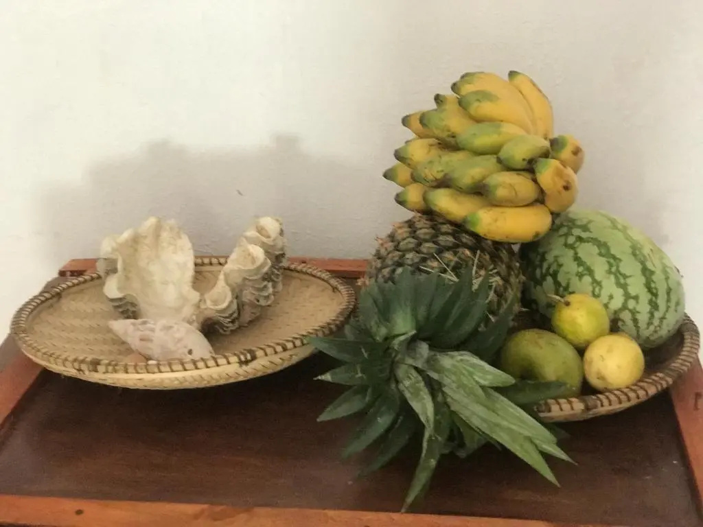 Moringe Home Stay - Village House