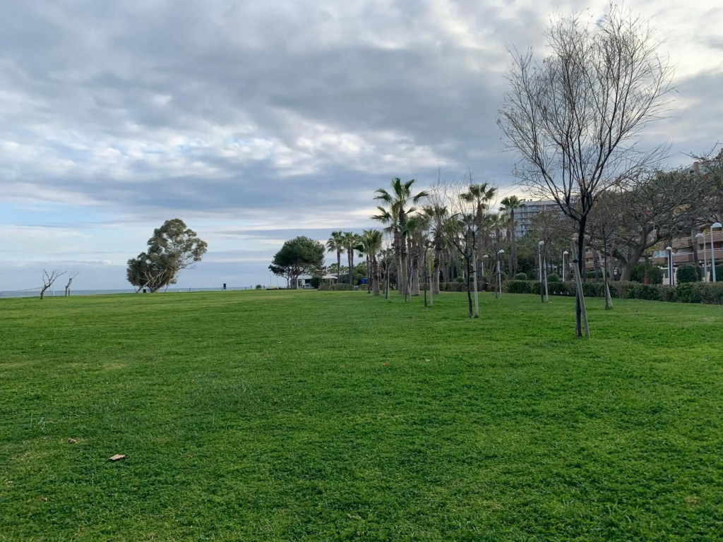 Apartamento Las Terrazas I